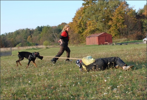 Training in Estonia 9/2007